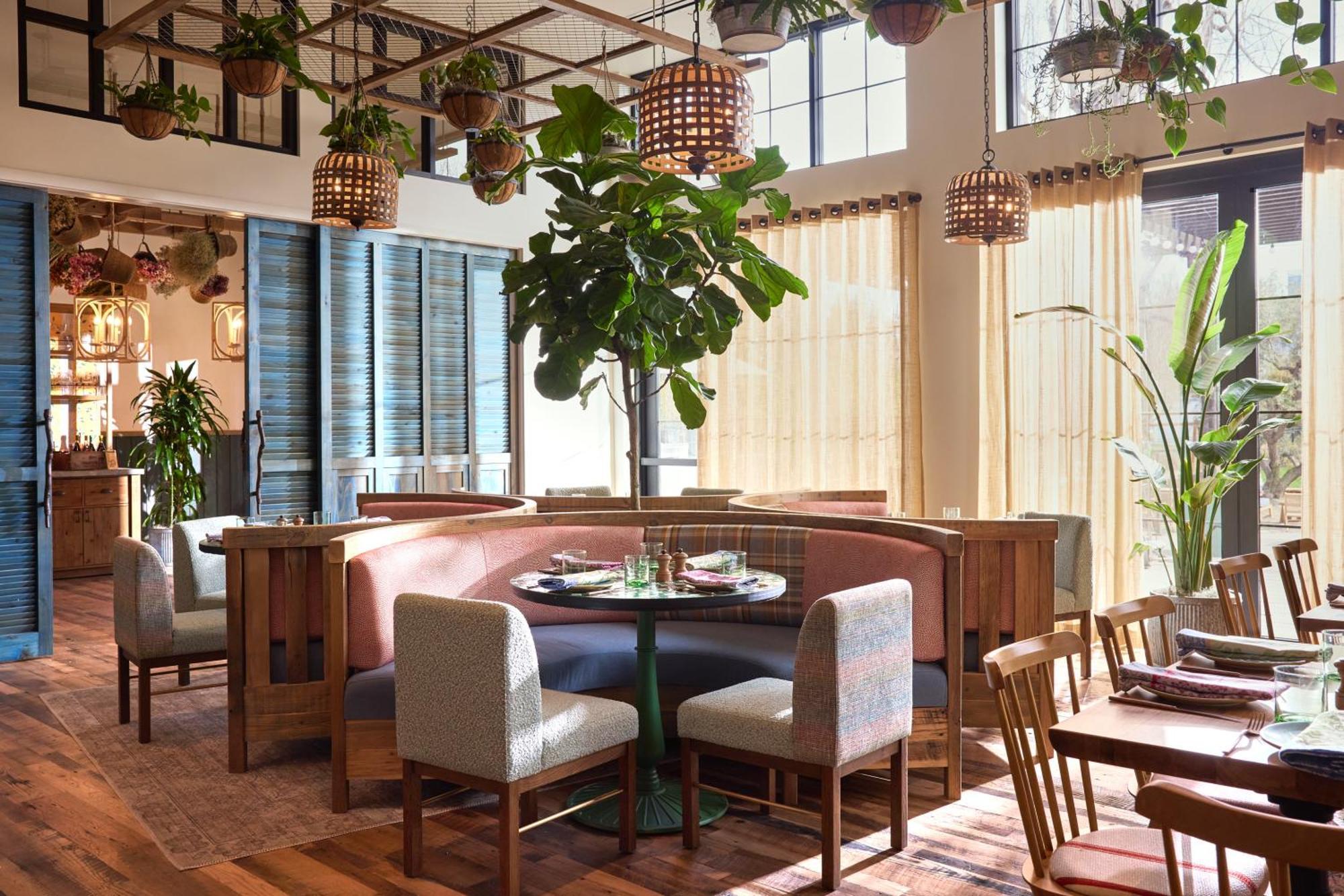סאניוייל Treehouse Hotel Silicon Valley מראה חיצוני תמונה