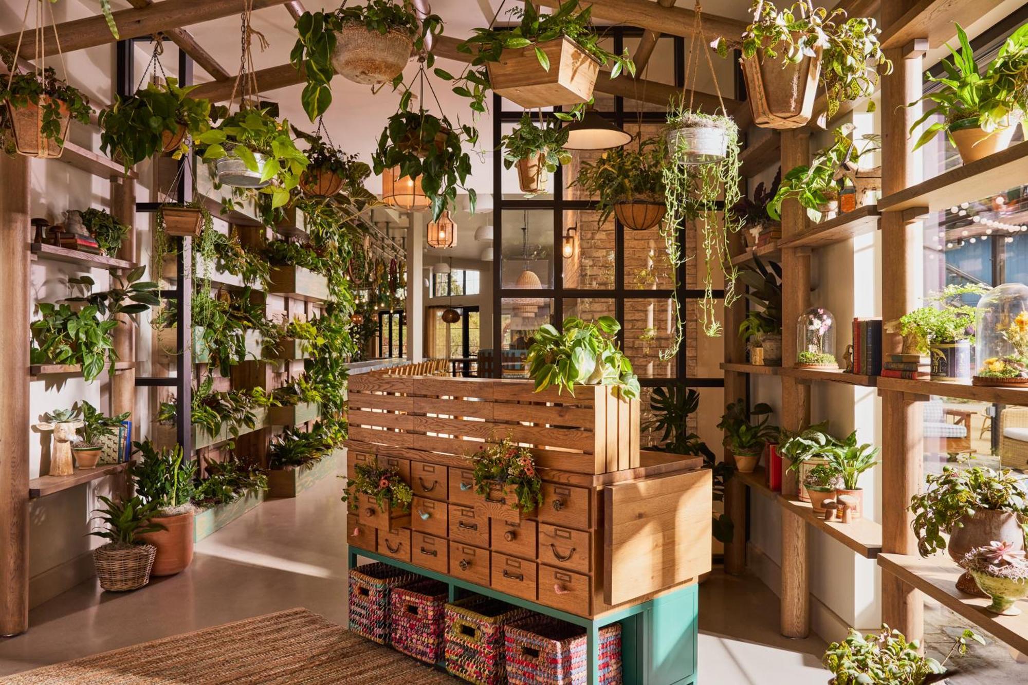 סאניוייל Treehouse Hotel Silicon Valley מראה חיצוני תמונה